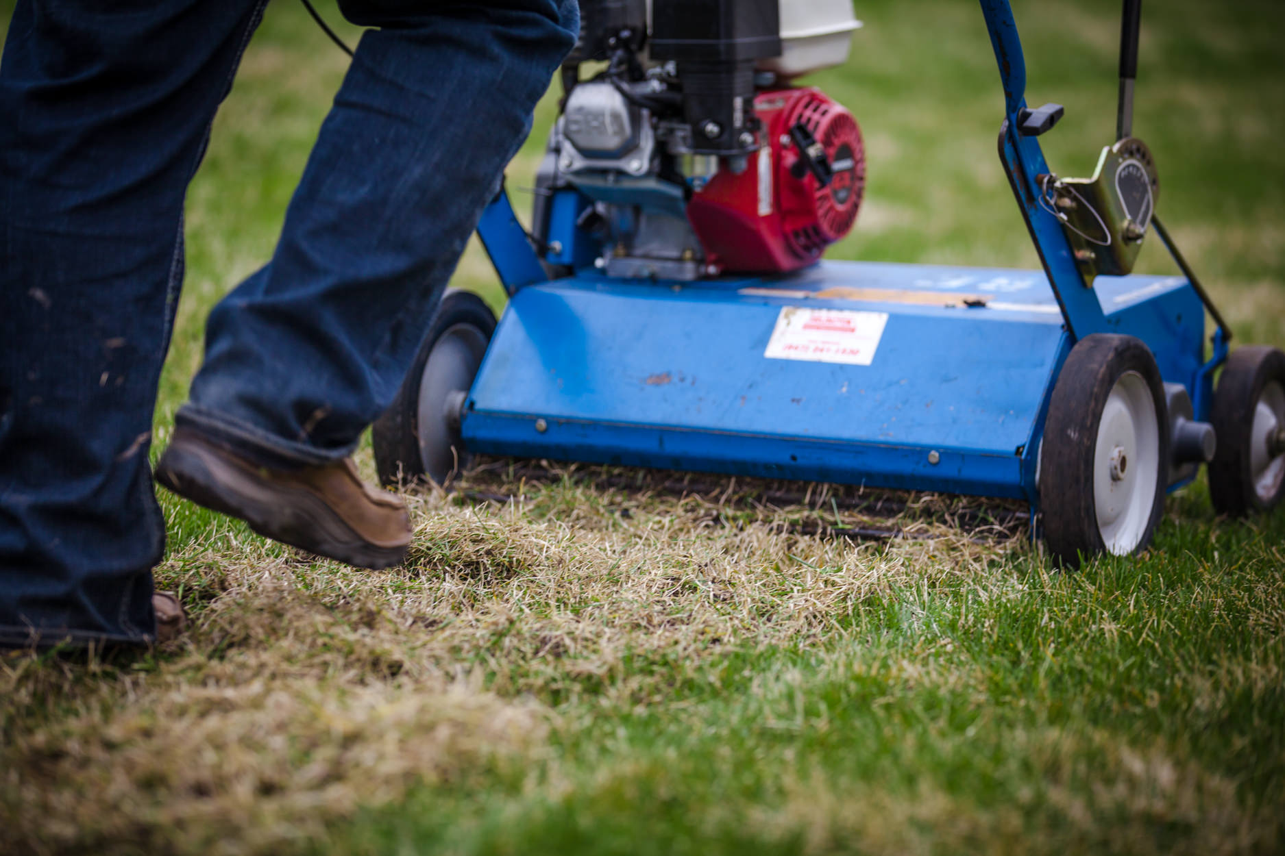 elite-lawn-care-160323-085858