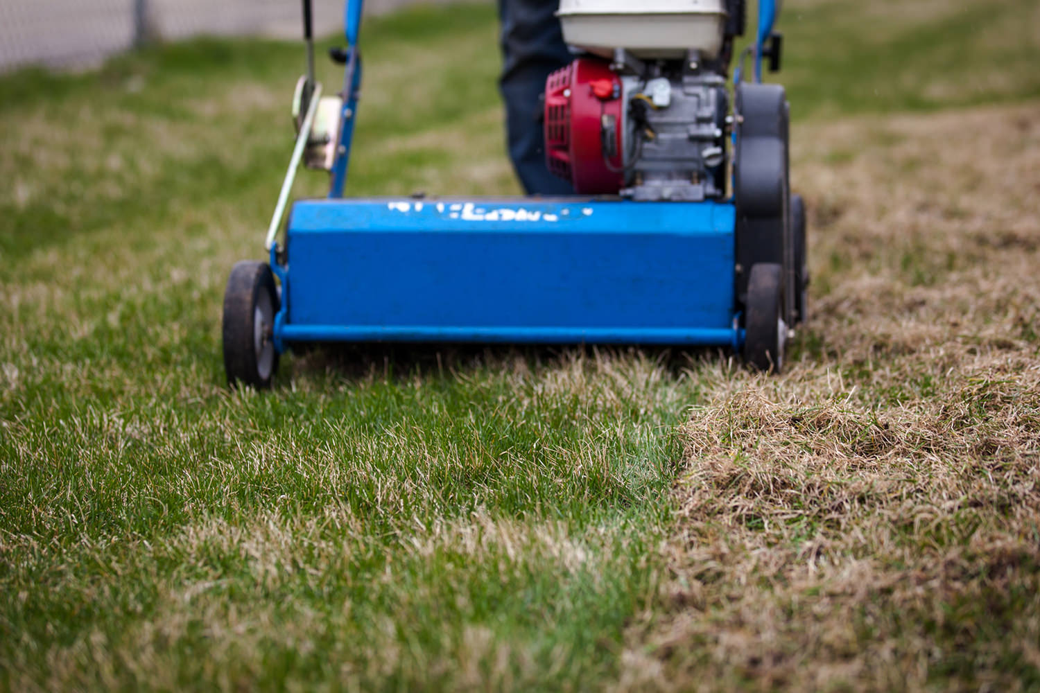 elite-lawn-care-160323-085908-edited