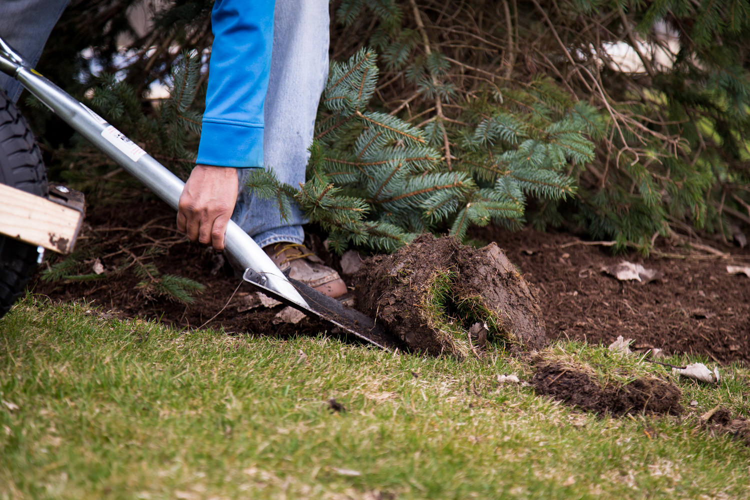 elite-lawn-care-170403-101258