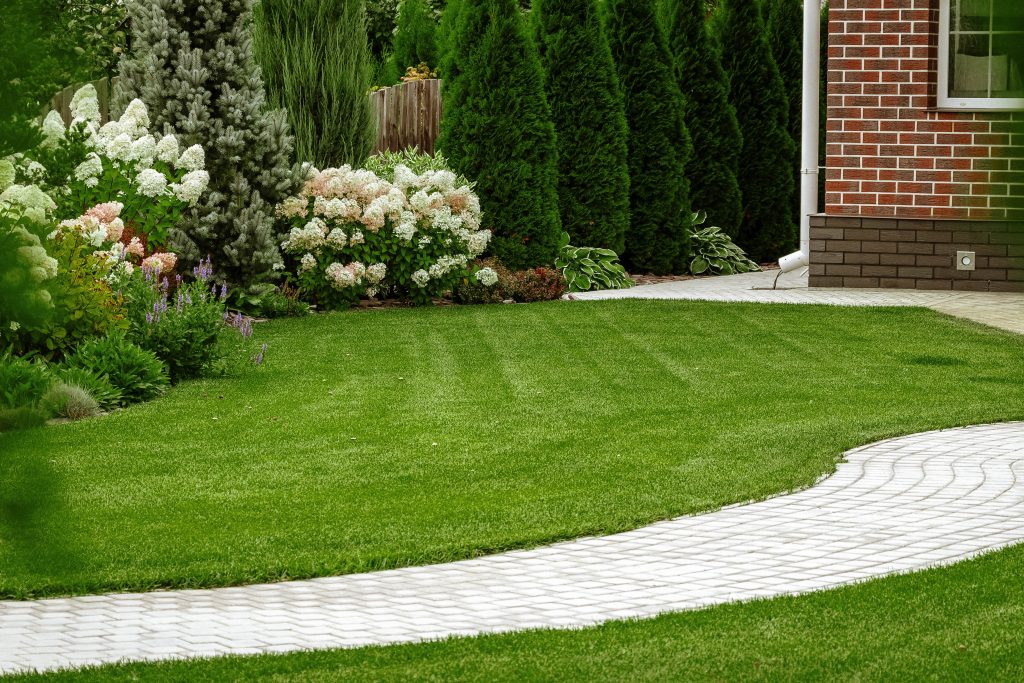 elite-lawn-care-190817-165609-1024x683.jpg