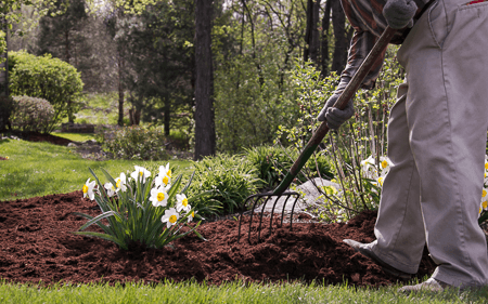 elite-lawn-care-170425-091041-450px-web