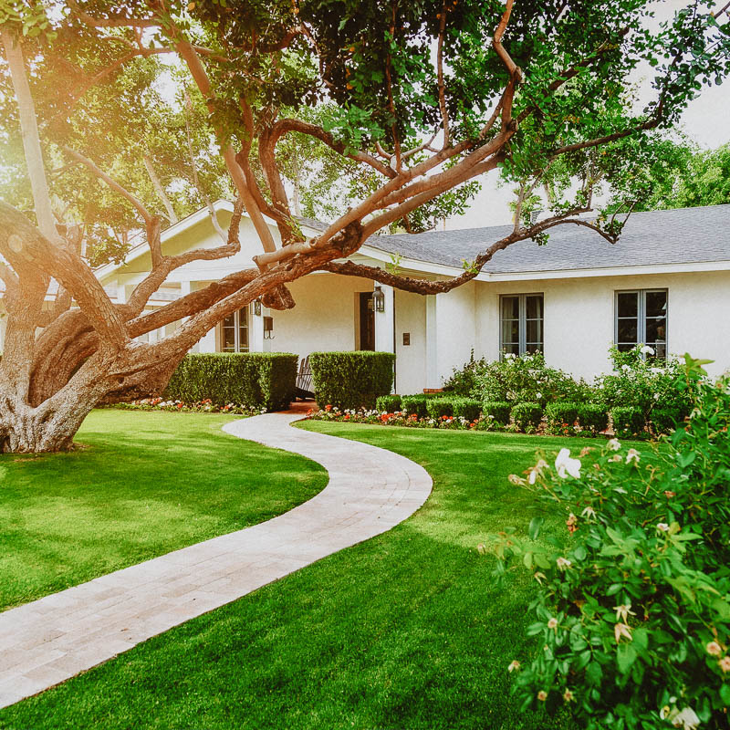 elite-lawn-care-200203-132221-800px-web