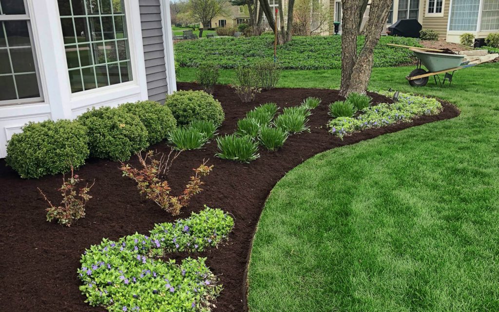 elite-lawn-care-200320-093322-1600px-web-1024x640