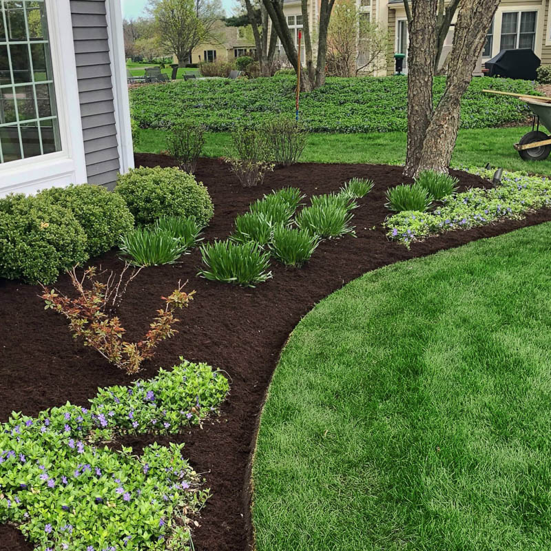 elite-lawn-care-200320-093322-800px-web