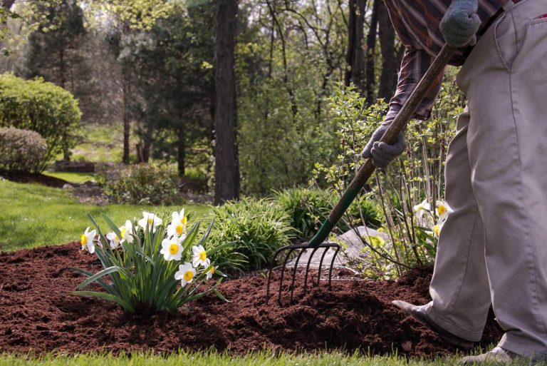 mulch-spreading-768x513