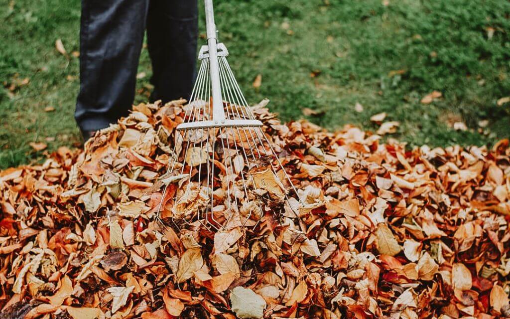 elite-lawn-care-fall-clean-up-01-1024x640