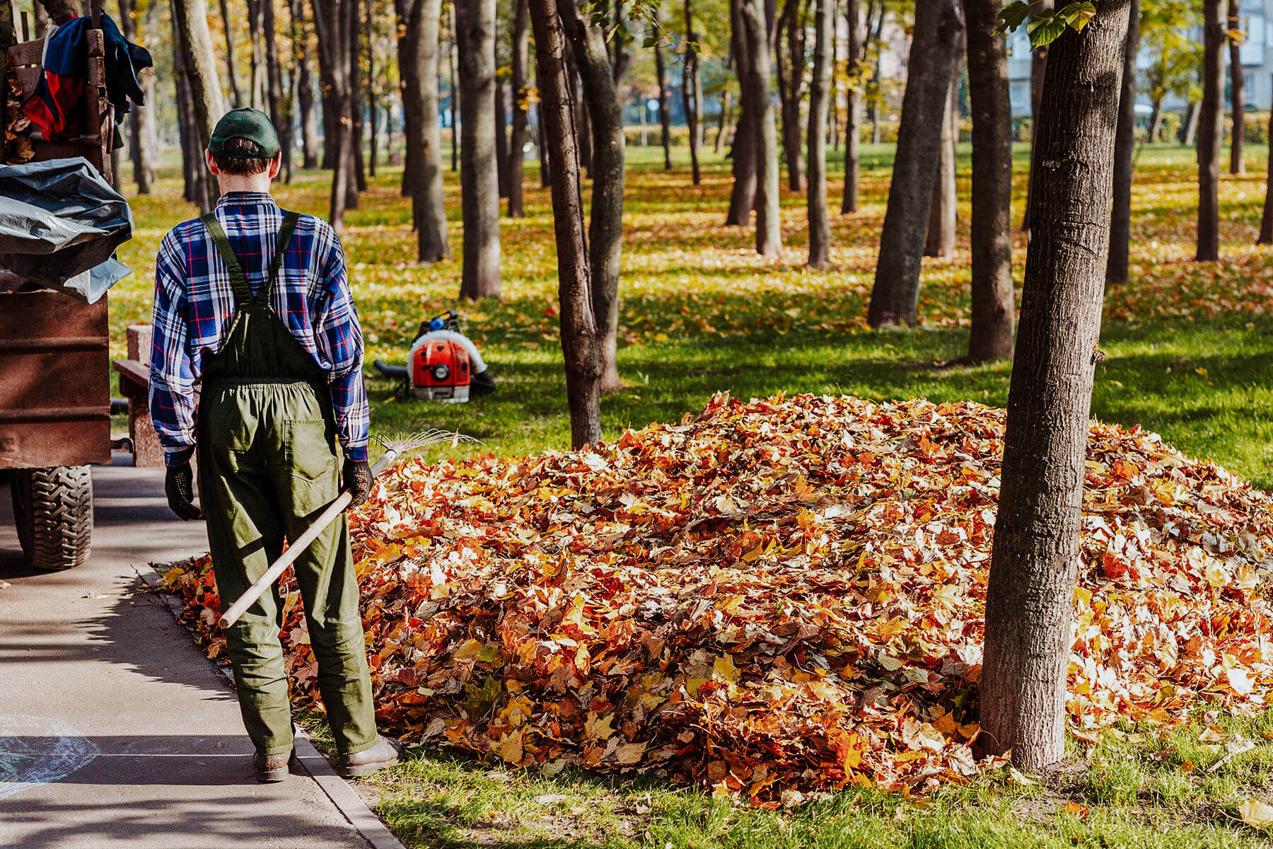 elite-lawn-care-fall-clean-up-04