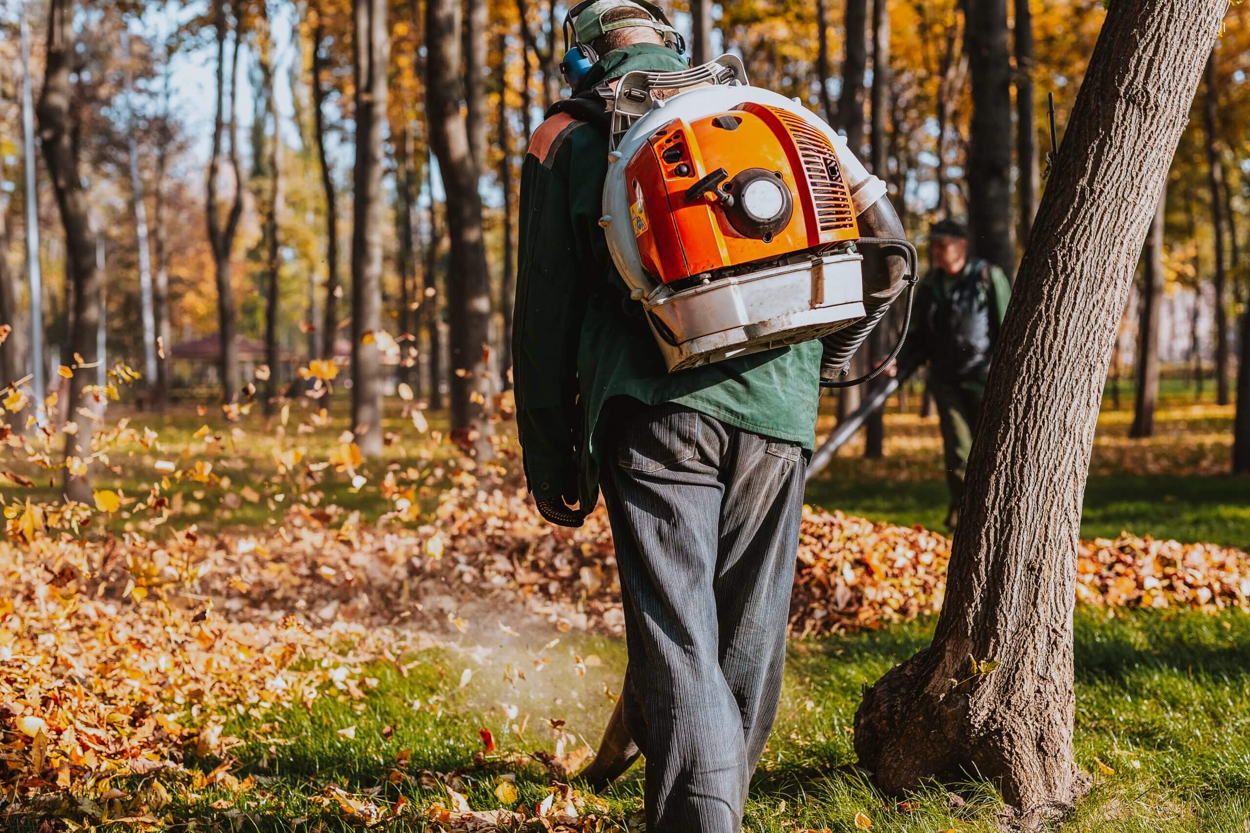 elite-lawn-care-fall-clean-up-13-scaled