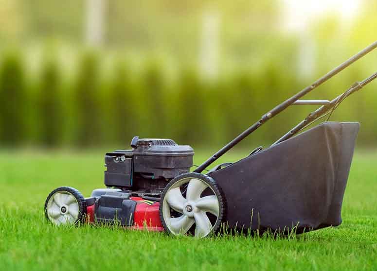 the-benefits-of-weekly-mowing-shows-e1650572692641.jpg