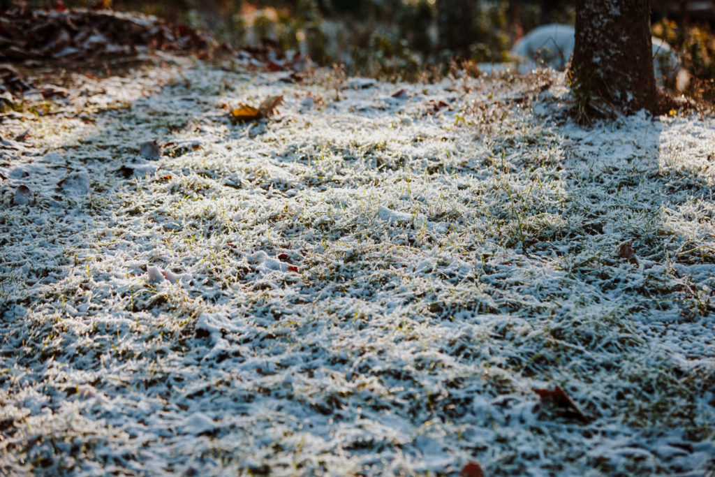 winter-snow-on-grass-2-1024x683.jpg