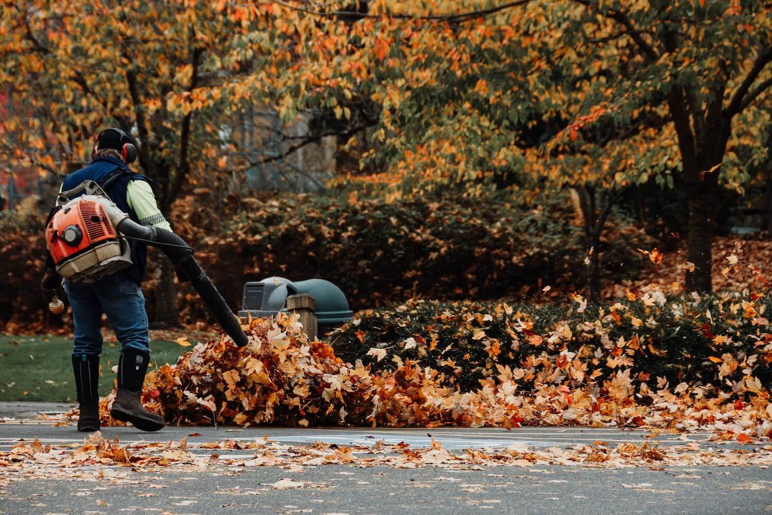 fall-maintenance-final-fall-clean-up