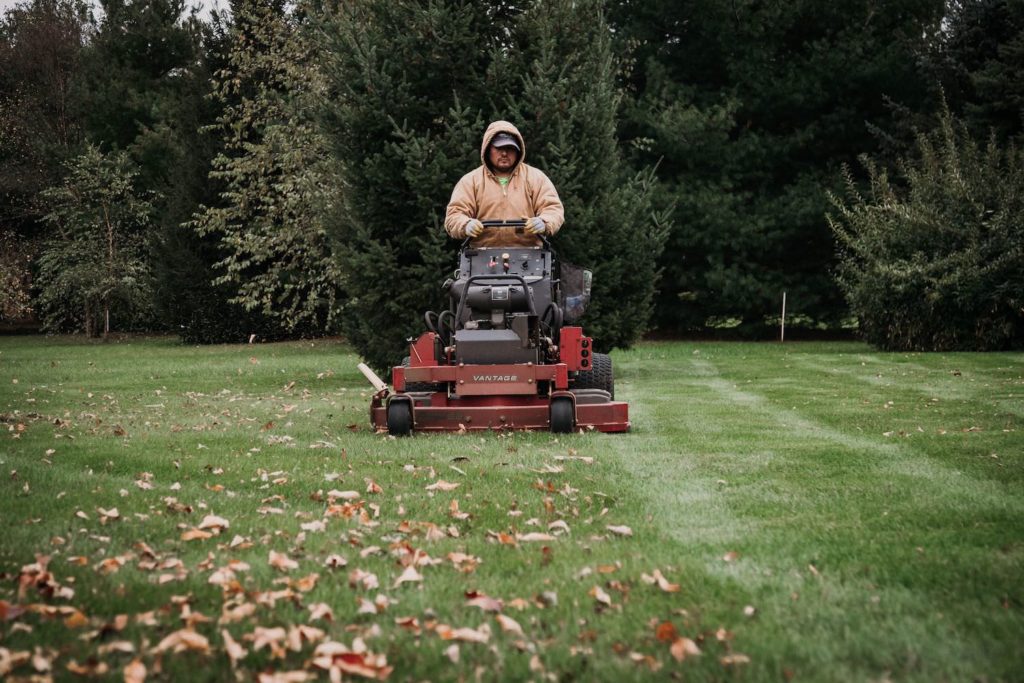 fall-maintenance-lawn-mowing-1024x683.jpg