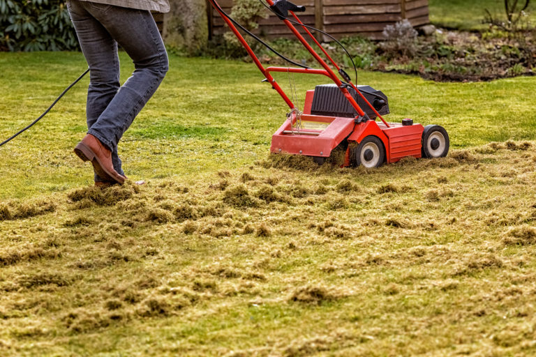 man-dethatching-his-lawn-with-a-red-mechanical-dethatcher-768x512.jpg