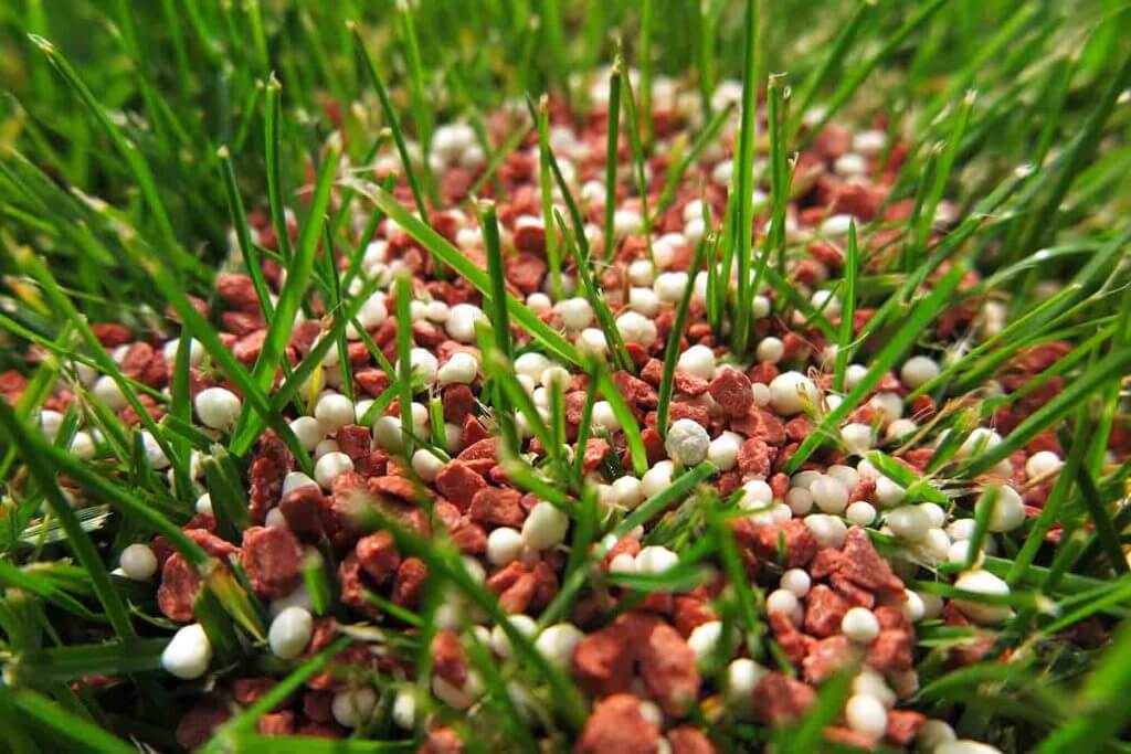 granular-fertilizer-in-lawn-scaled-1-1024x683.jpg