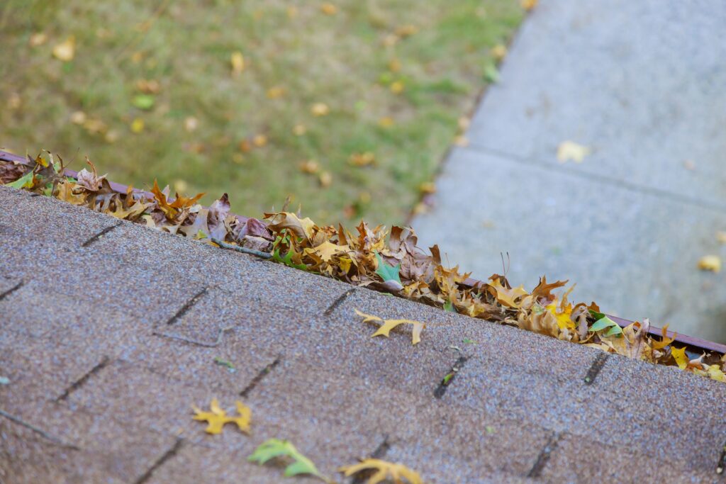 dirty-roof-with-gutter-with-leaves-requiring-cleaning-1024x683.jpg