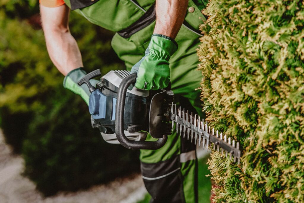 Professional bush trimming safety