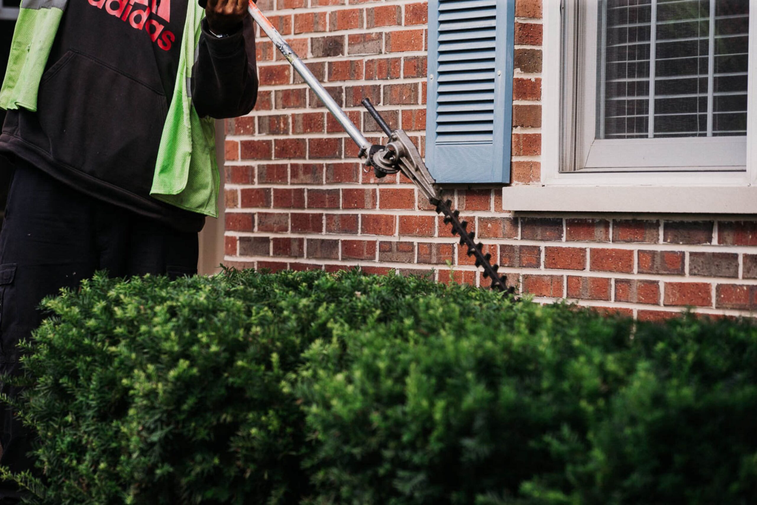 hedge-trimming-scaled