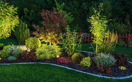 elite-lawn-care-200320-093623-450px-web-qaj5uulmp6r04vq3ef2re8vt8o51qe33pfg0kzufzu