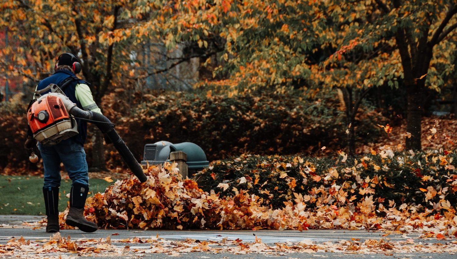 Fall clean-up services in Chicago area
