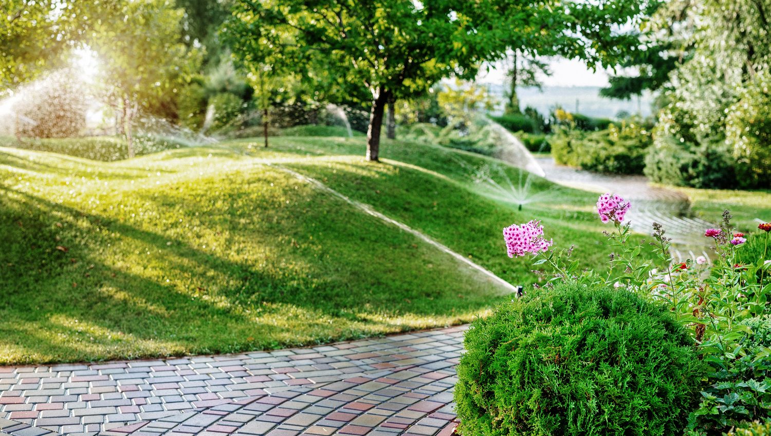 Elite Lawn Care guide for a perfect lawn