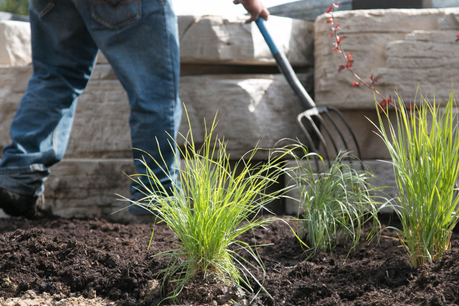 landscaping-services