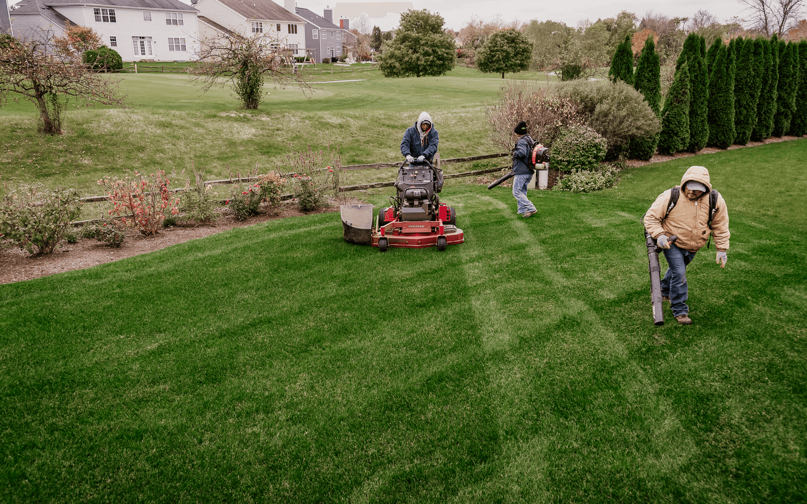 lawn-mowing-cta-bg